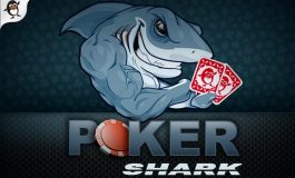 Правила игры в Покер Шарк